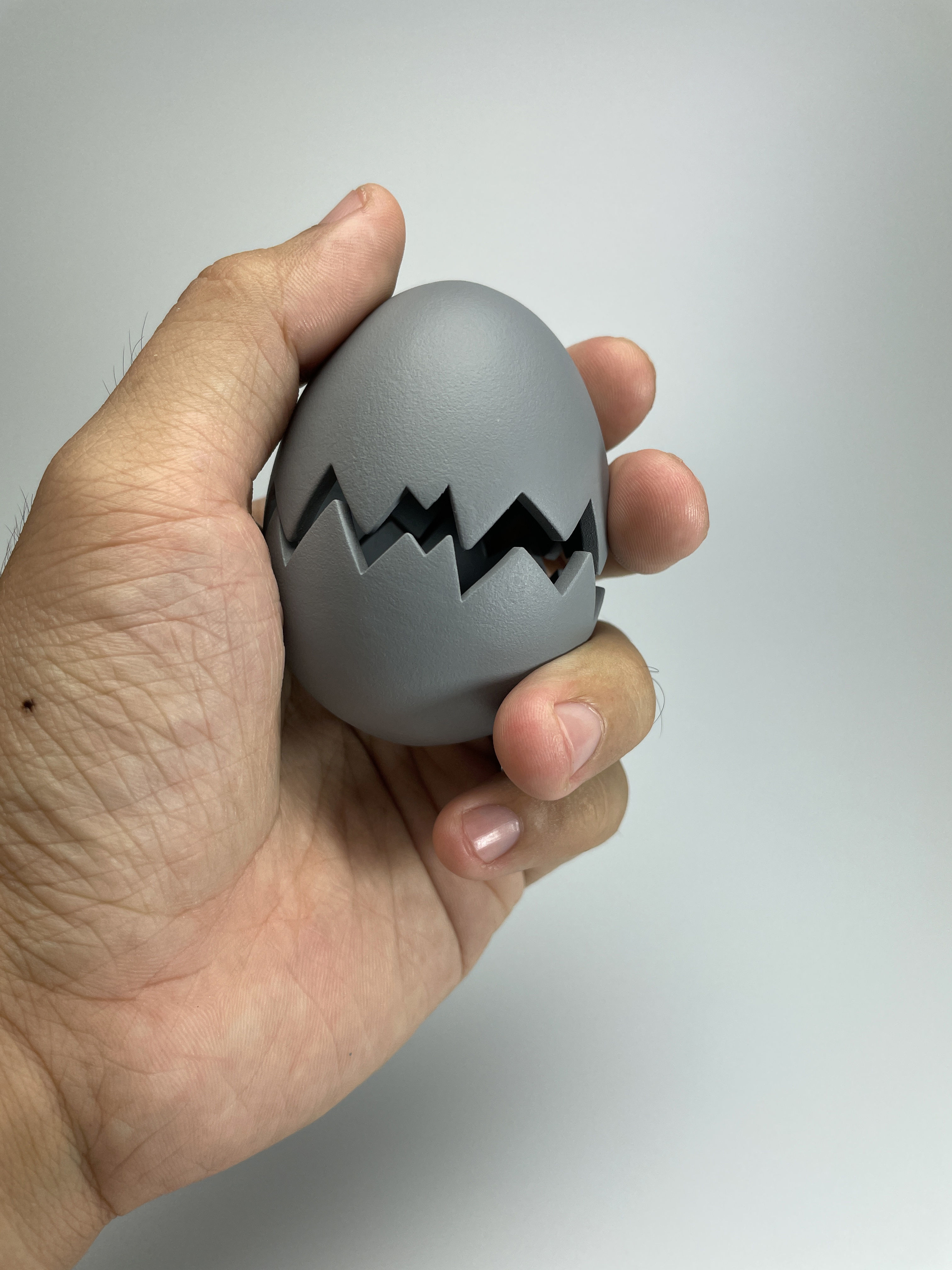 Egg Shell 3D model_26