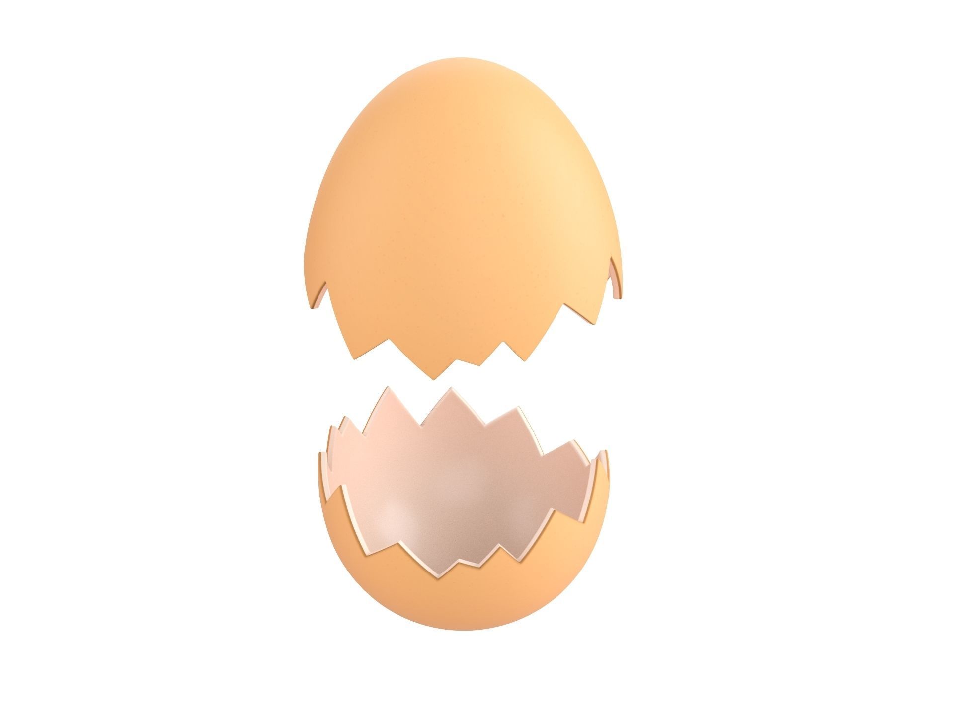 Egg Shell 3D model_3