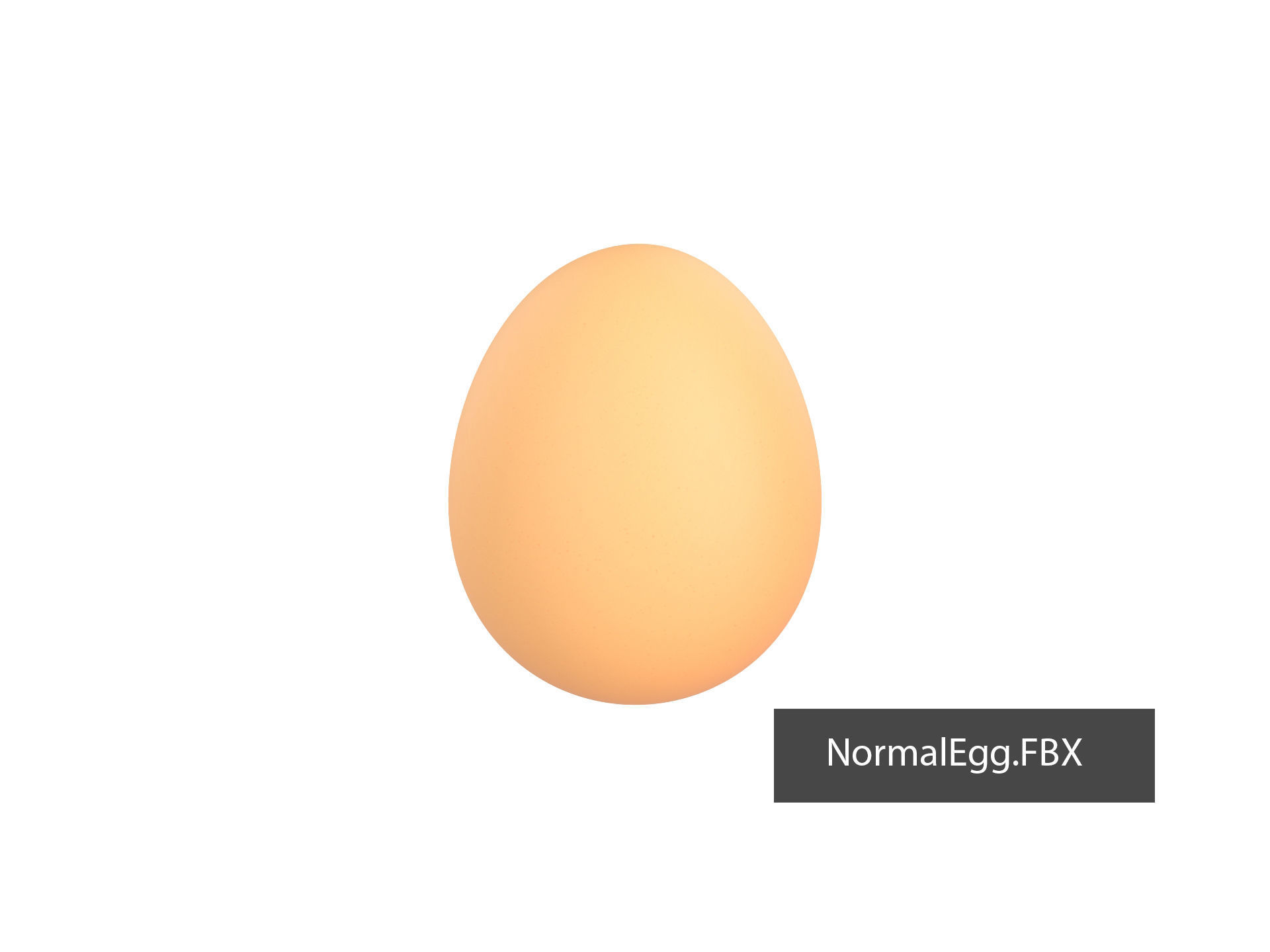 Egg Shell 3D model_7