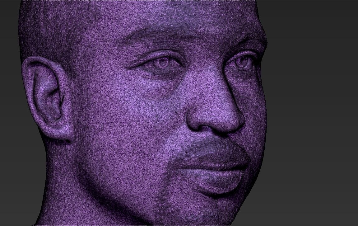 Dwyane Wade bust 3D printing ready stl obj formats 3D print model_33