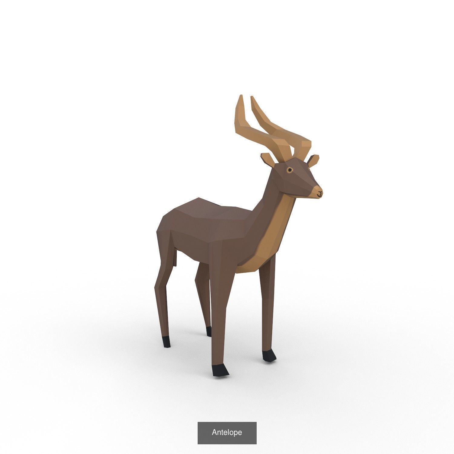 Animals pack 3D Model Collection_15