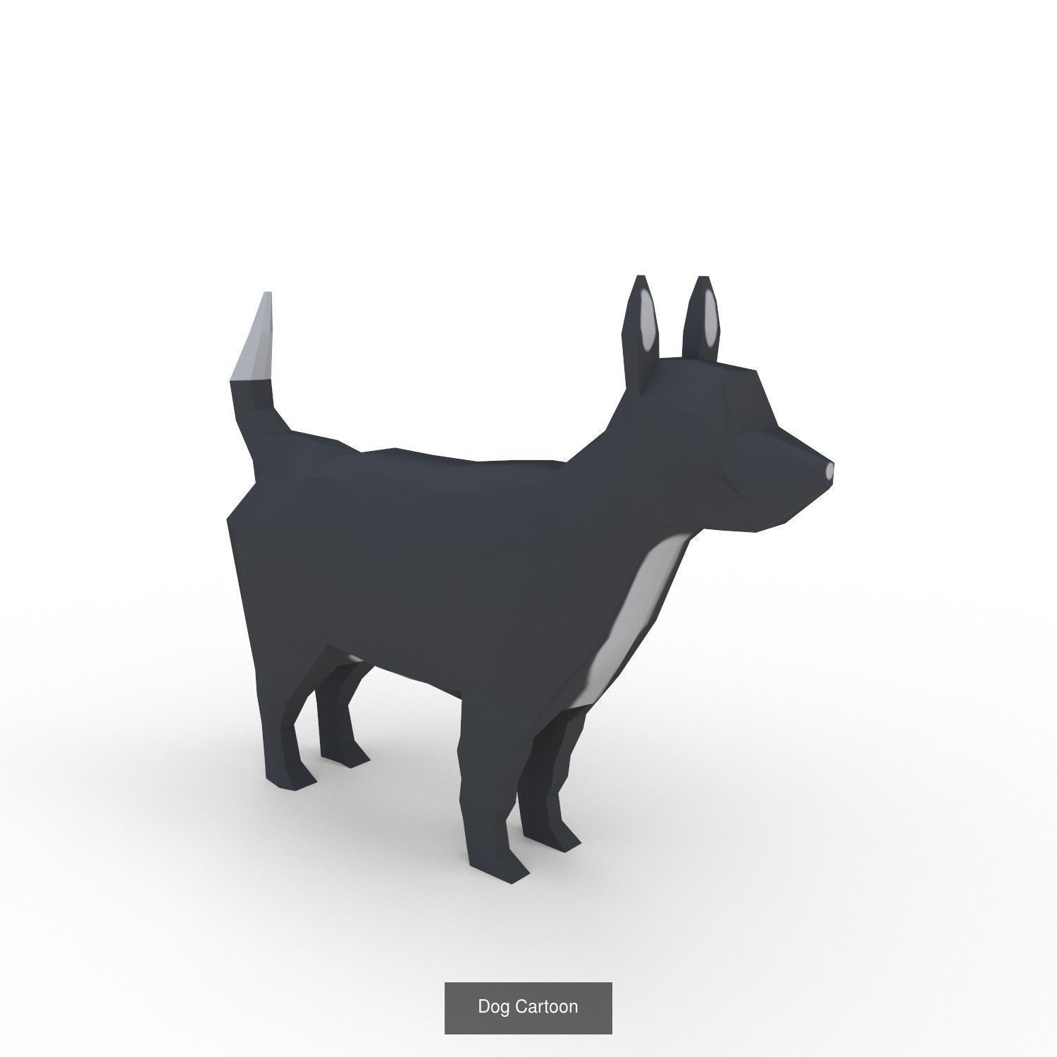 Animals pack 3D Model Collection_6