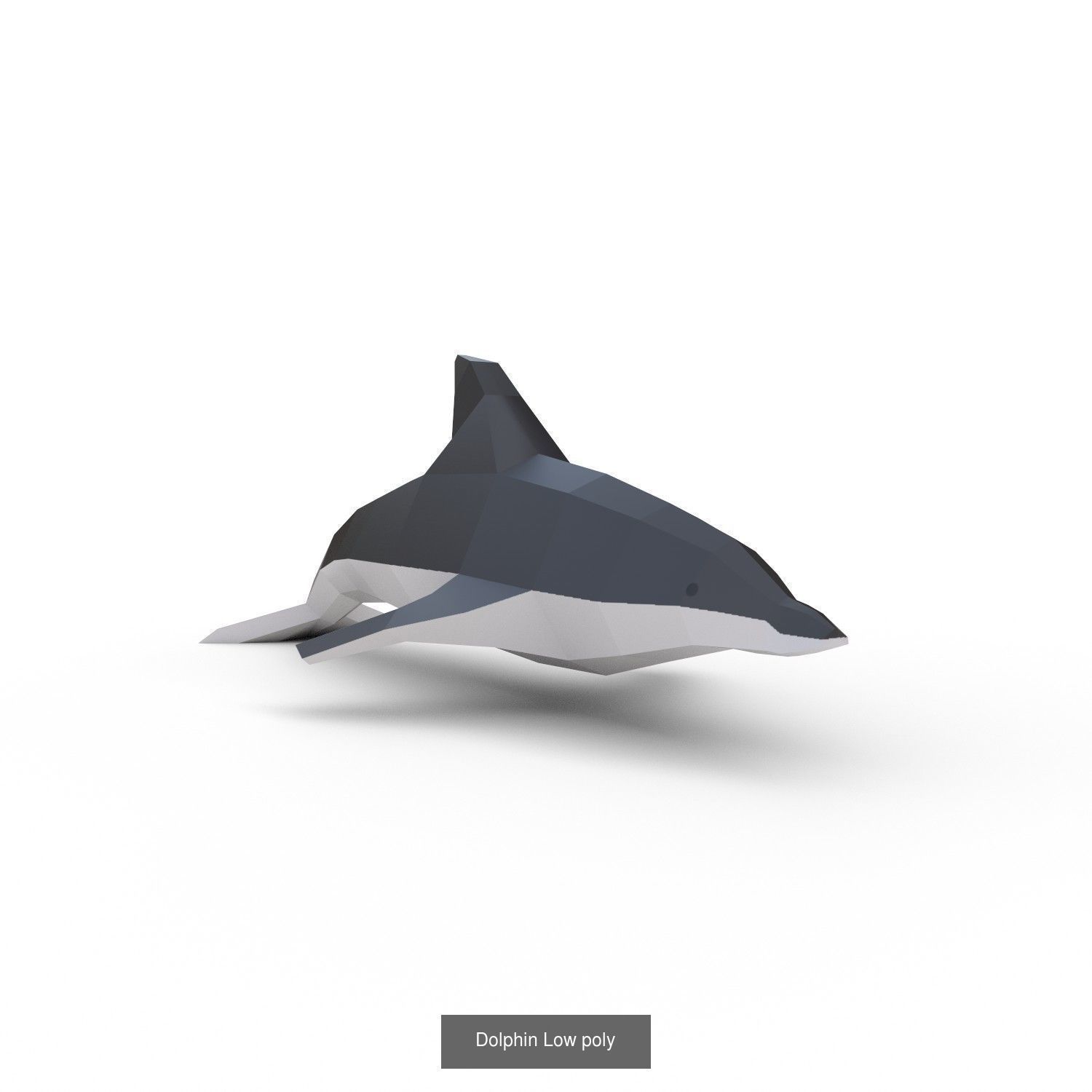 Animals pack 3D Model Collection_16