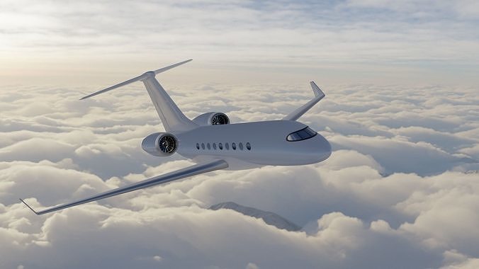 Private Jet with 8K Custom Vector Textures 3D model