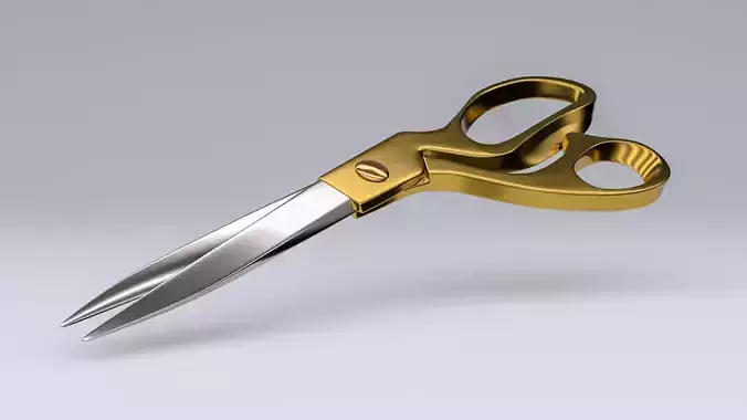 Scissors pair of