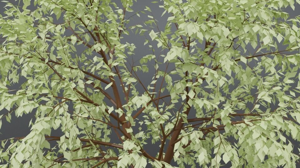 Cartoon Tree 3D model_11