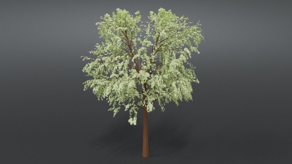 Cartoon Tree 3D model_4