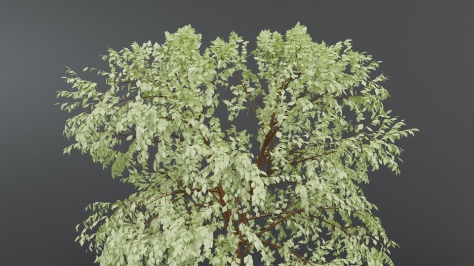 Cartoon Tree 3D model_10