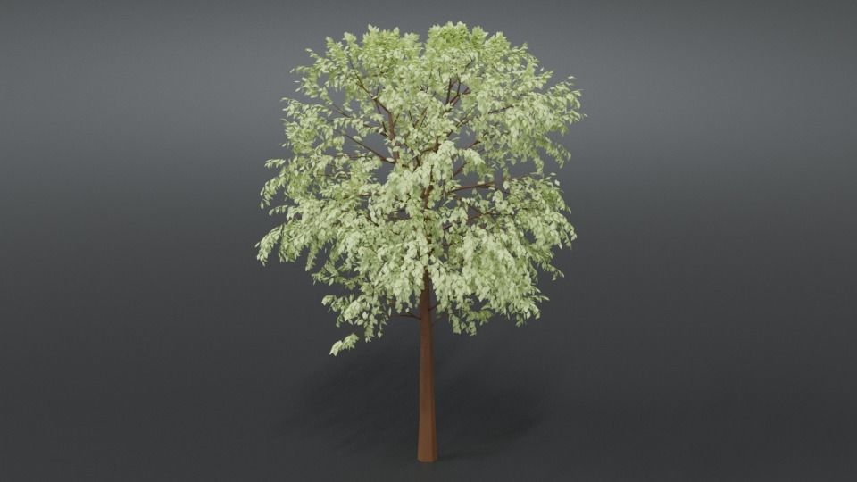 Cartoon Tree 3D model_5