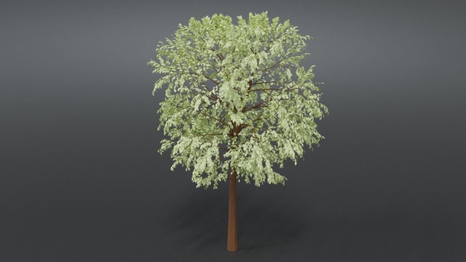 Cartoon Tree 3D model_2