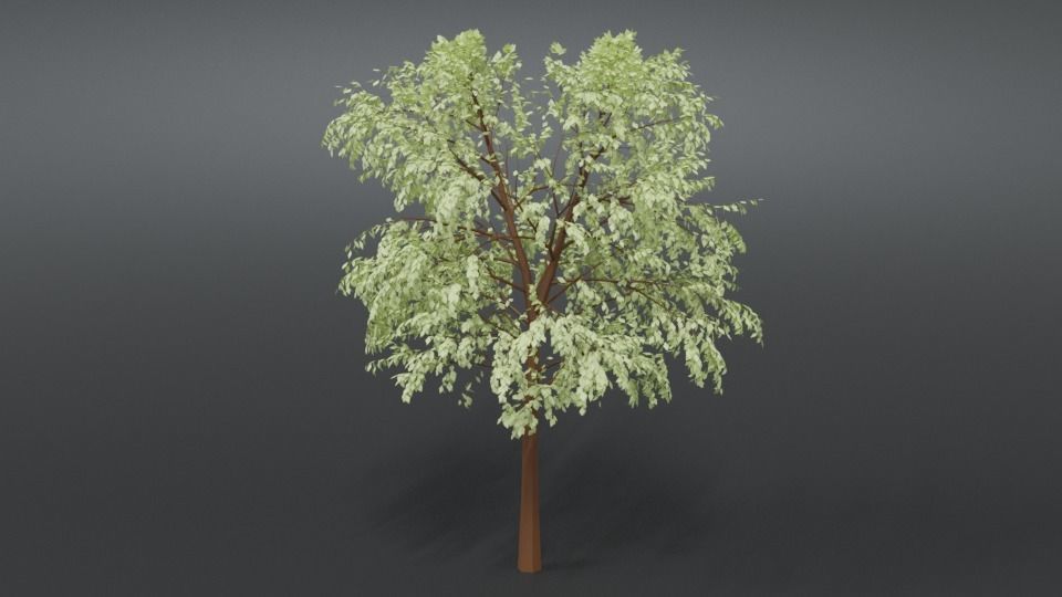 Cartoon Tree 3D model_1