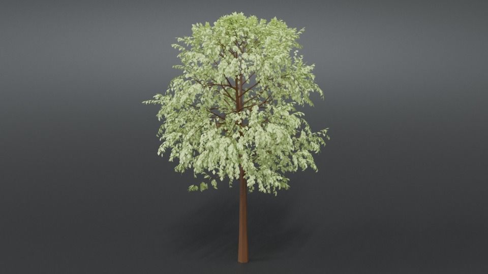 Cartoon Tree 3D model_6
