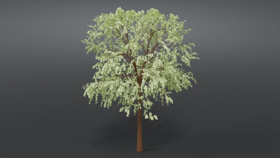Cartoon Tree 3D model_3