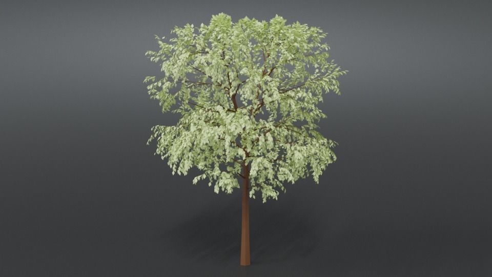 Cartoon Tree 3D model_7