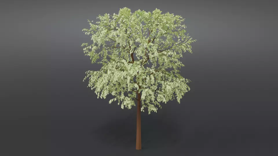 Cartoon Tree 3D model_0