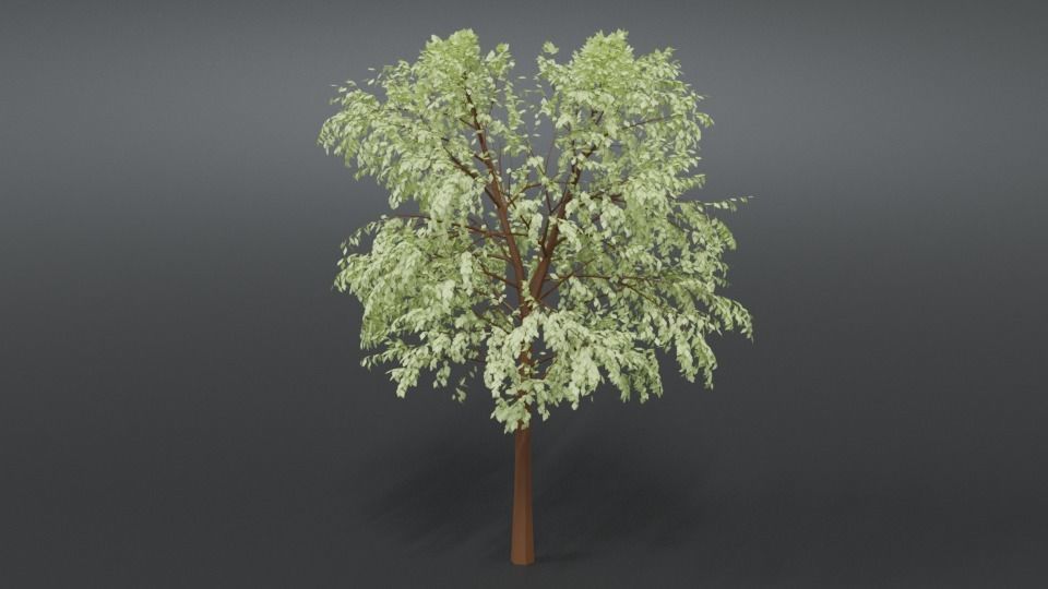 Cartoon Tree 3D model_8