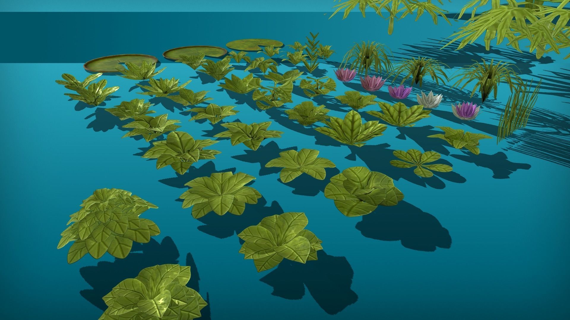 Vegetation and plants Colection pack Low-poly 3D model_4