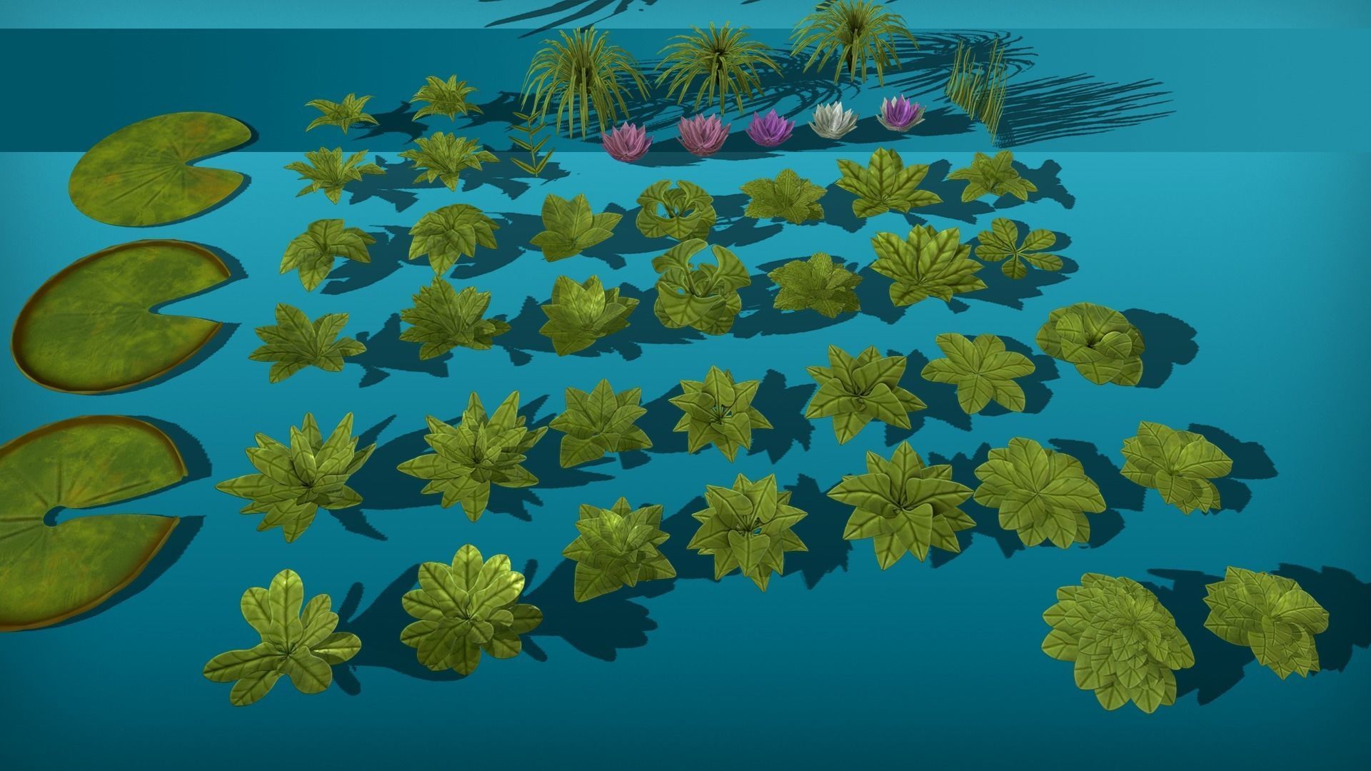 Vegetation and plants Colection pack Low-poly 3D model_5