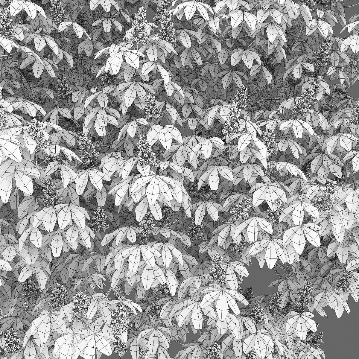 Chestnut-tree 01 H5-6m 3D model_12