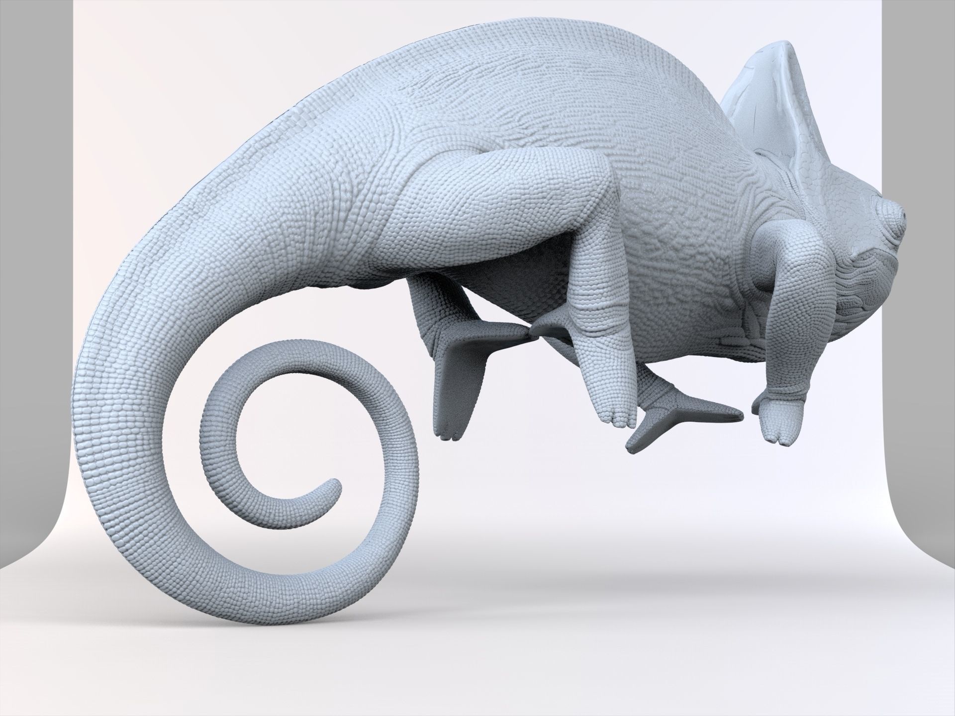 Chameleon - reptile 3D print model_4
