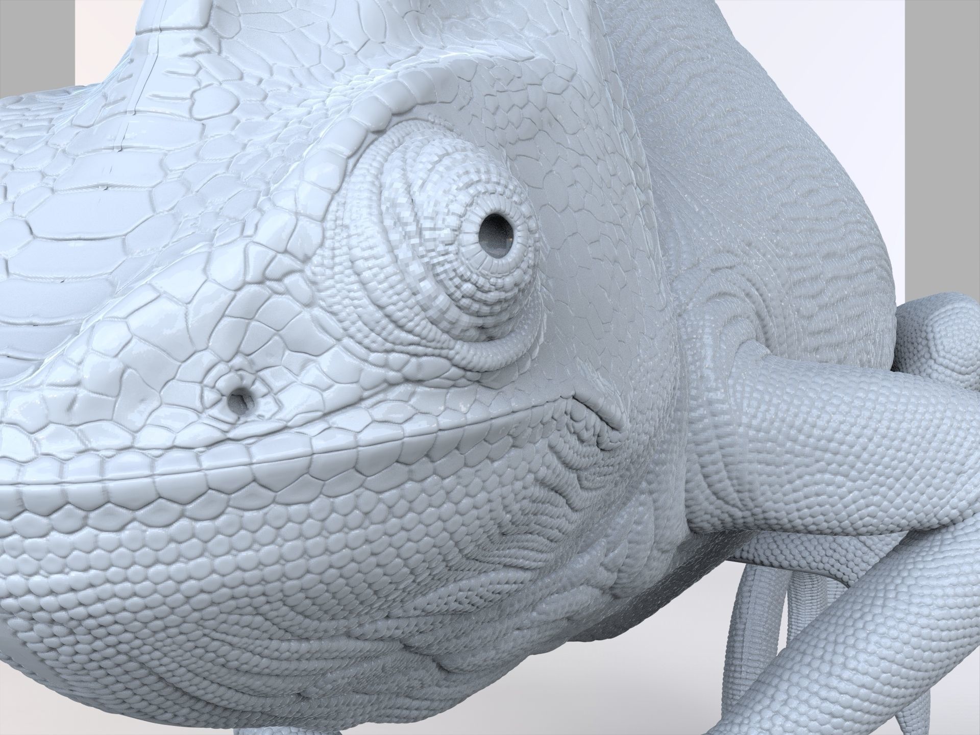 Chameleon - reptile 3D print model_5