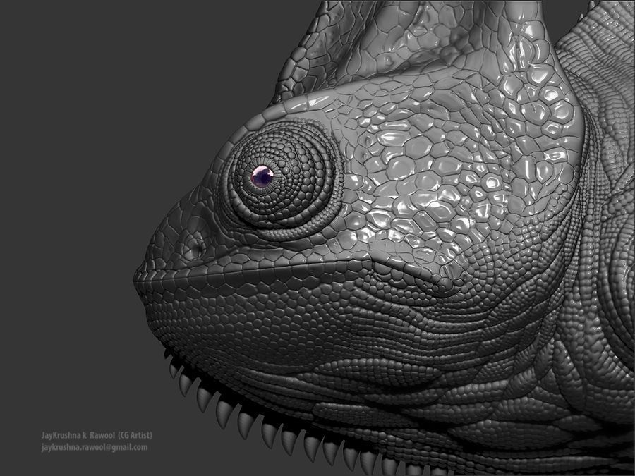 Chameleon - reptile 3D print model_6