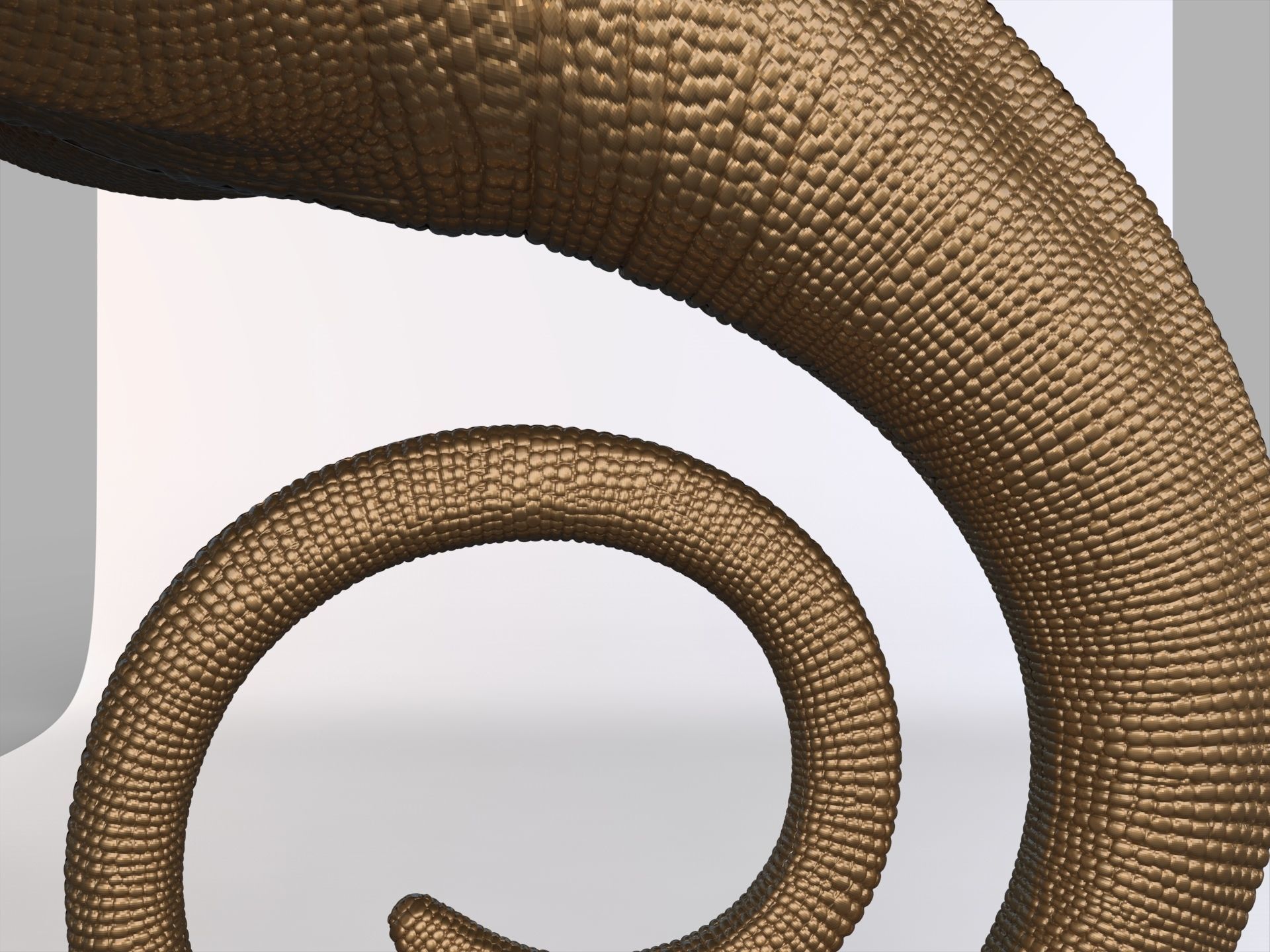 Chameleon - reptile 3D print model_7