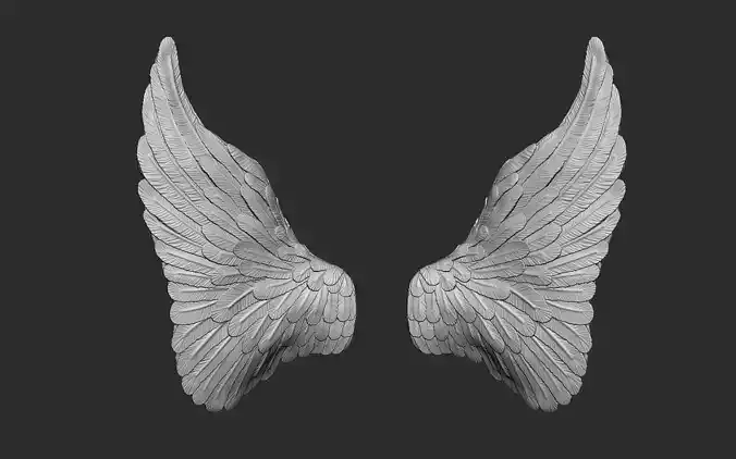 Angel wings  3D print model