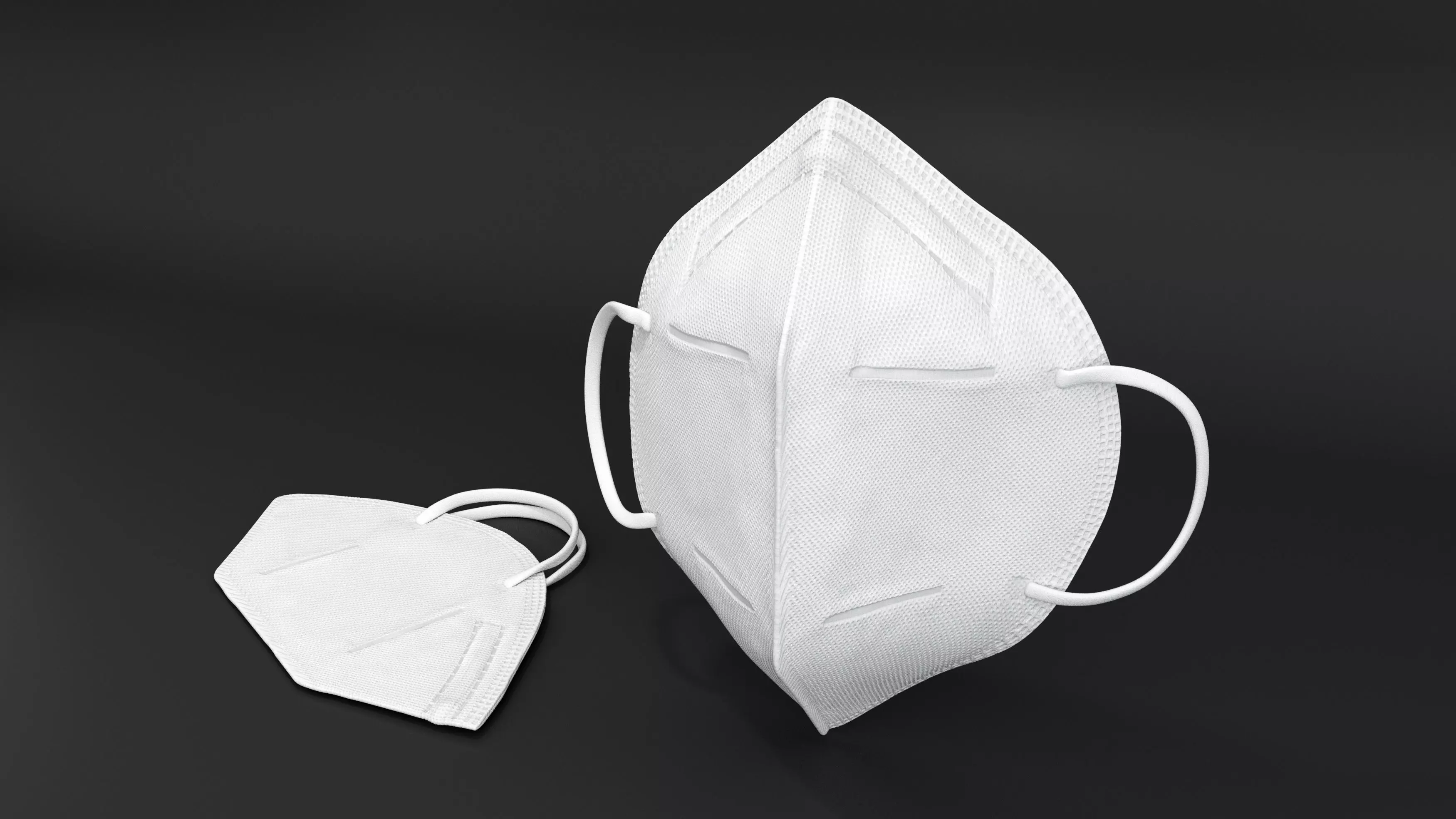 Protection Mask 3D model