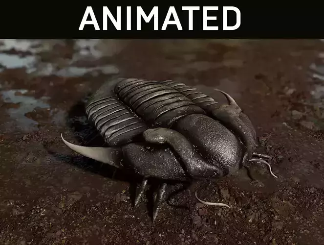Trilobite 02 - ILLAENUS TAURICORNIS Low-poly 3D model