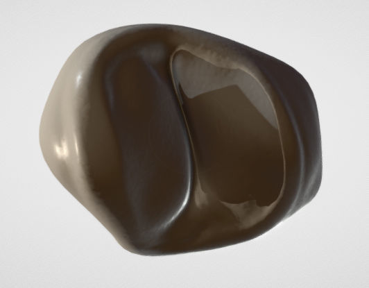 Maxillary First Premolar Low-poly 3D model_7