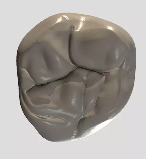 Maxillary Second Molar Low-poly 3D model_2