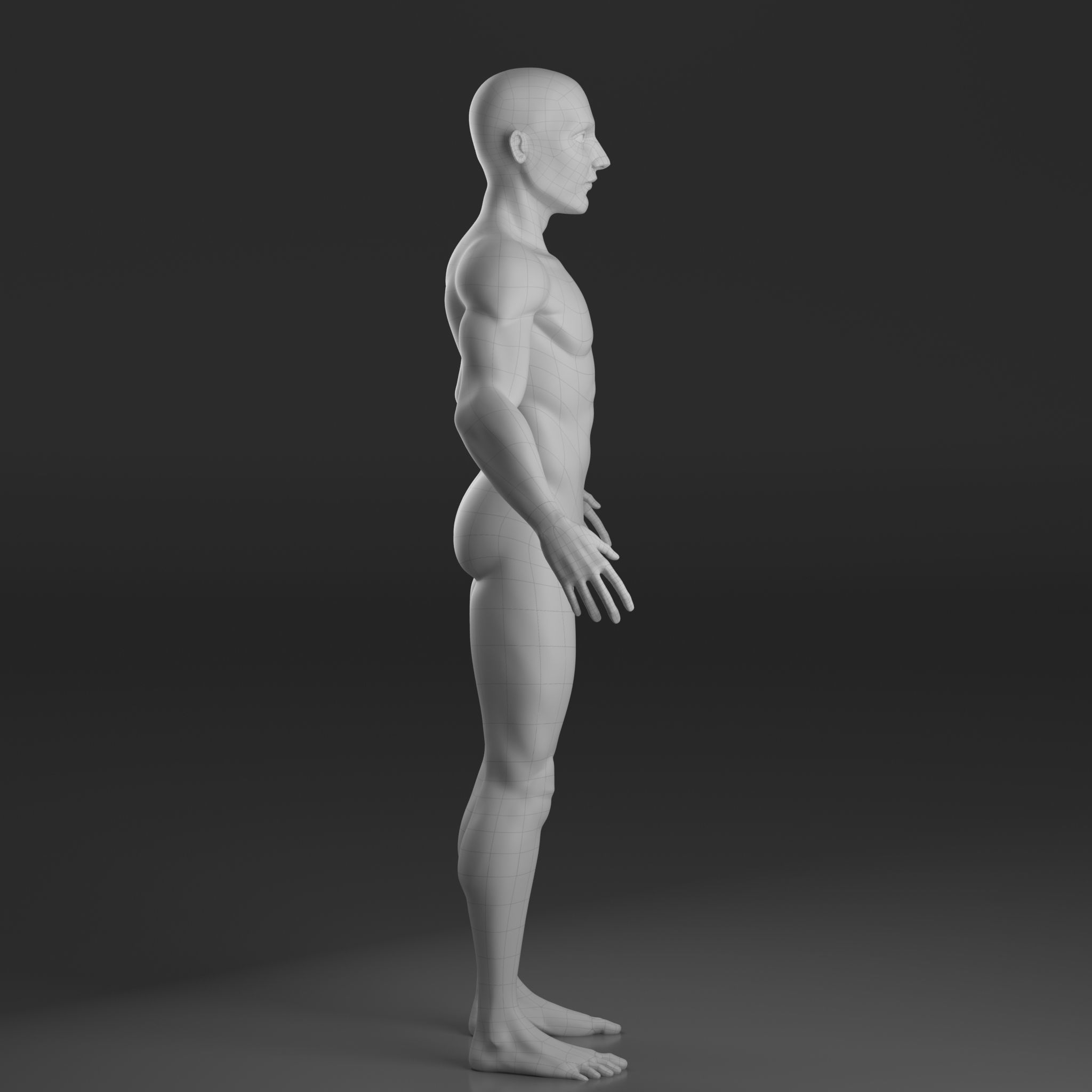 Stylised Male base mesh 3D model_1