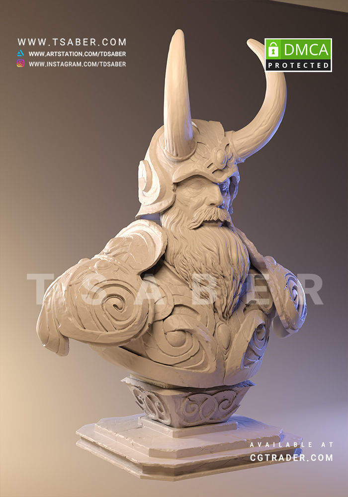 Viking bust - 3D print character 3D print model_2