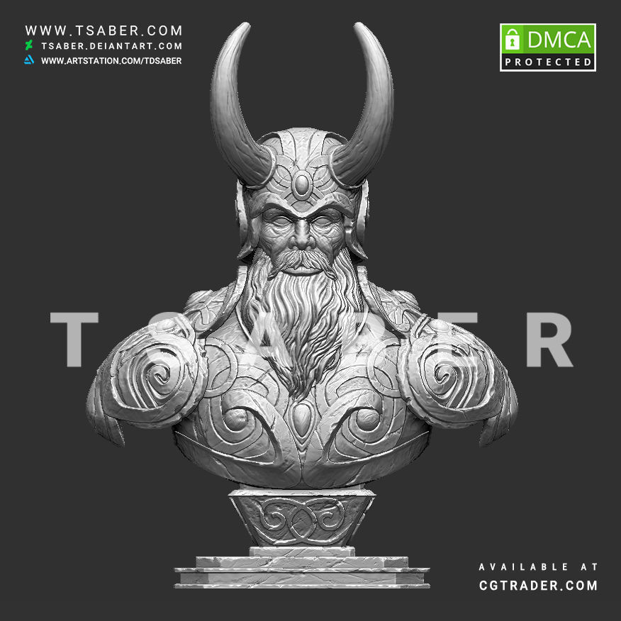 Viking bust - 3D print character 3D print model_7