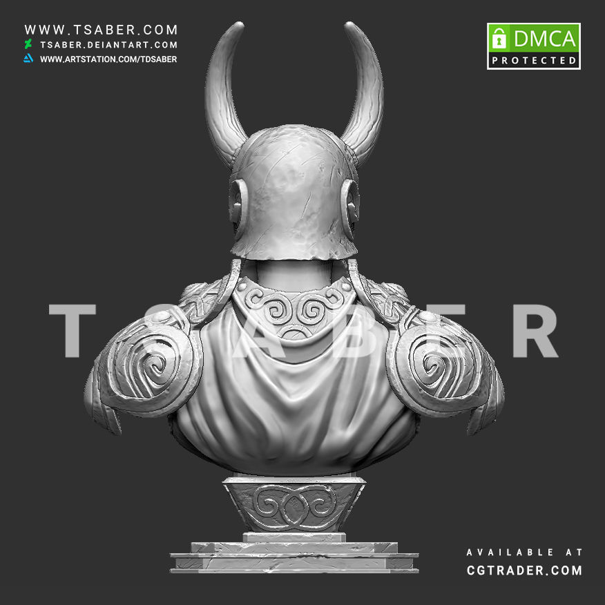 Viking bust - 3D print character 3D print model_11