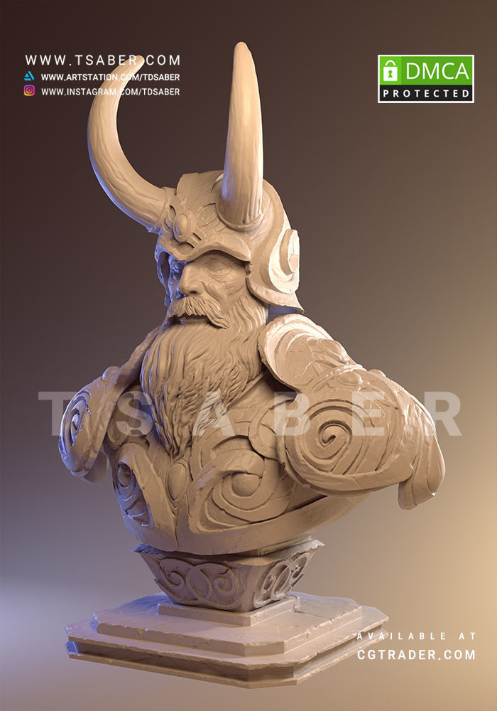 Viking bust - 3D print character 3D print model_4