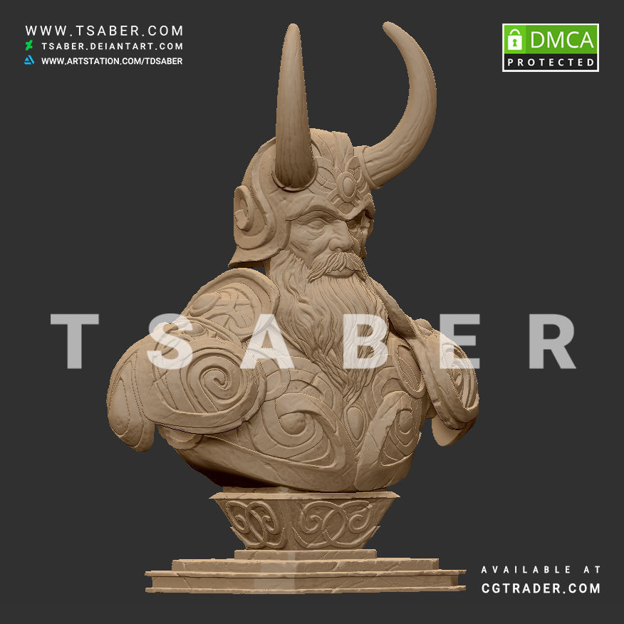 Viking bust - 3D print character 3D print model_15