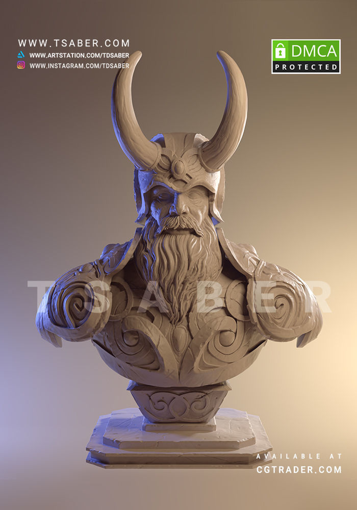 Viking bust - 3D print character 3D print model_3