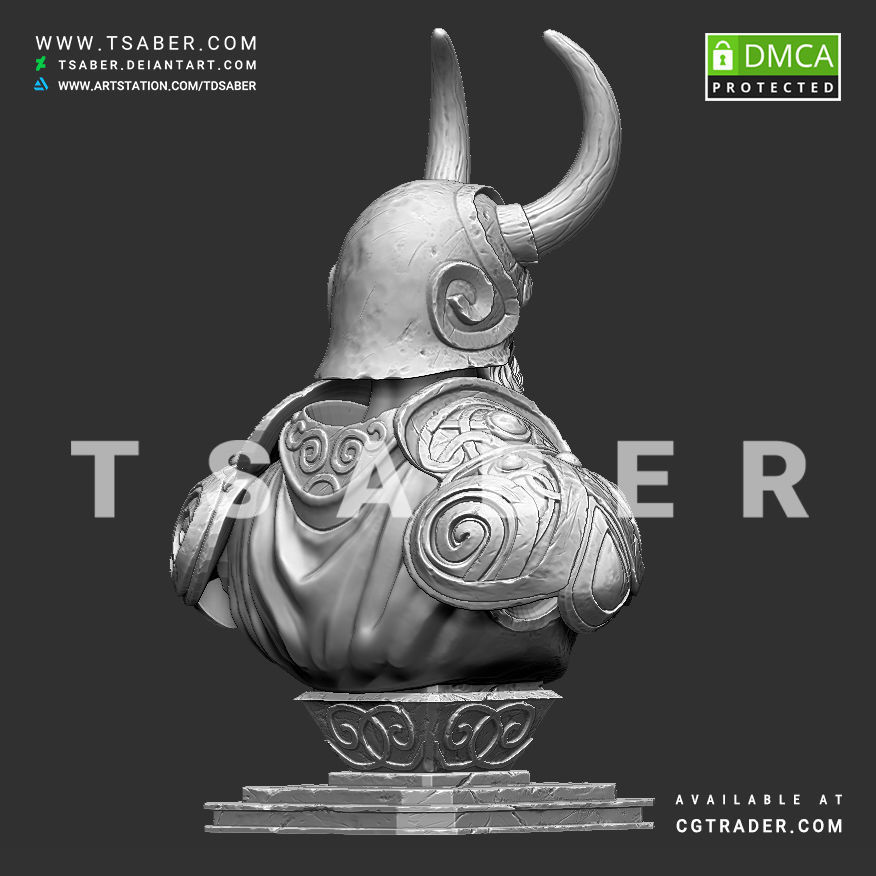 Viking bust - 3D print character 3D print model_12