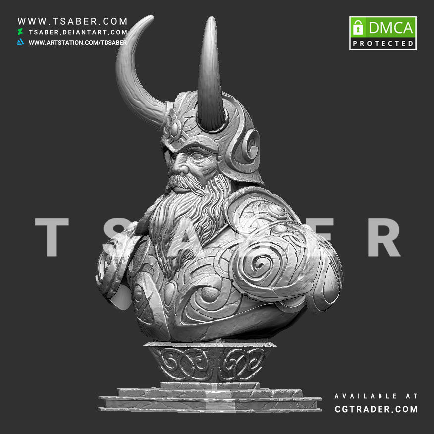 Viking bust - 3D print character 3D print model_8