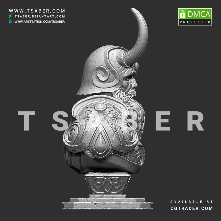 Viking bust - 3D print character 3D print model_13