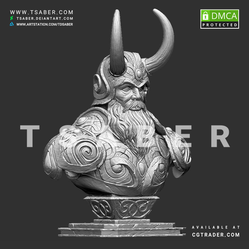 Viking bust - 3D print character 3D print model_14