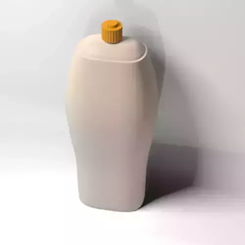 Shampoo Bottle