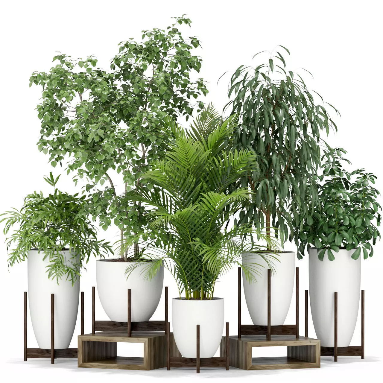 Plants collection 350 3D model