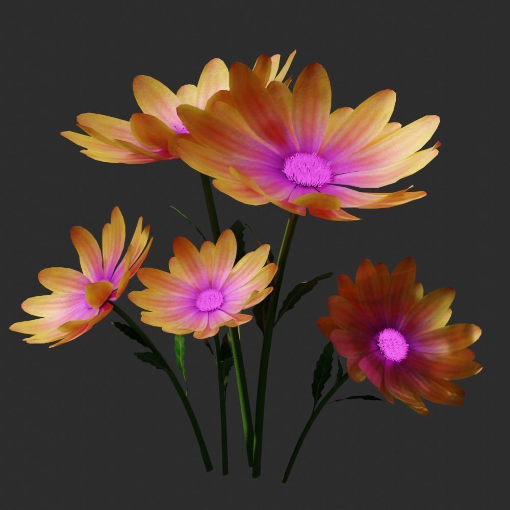 daisyflower daisies - daisies 3D model_4