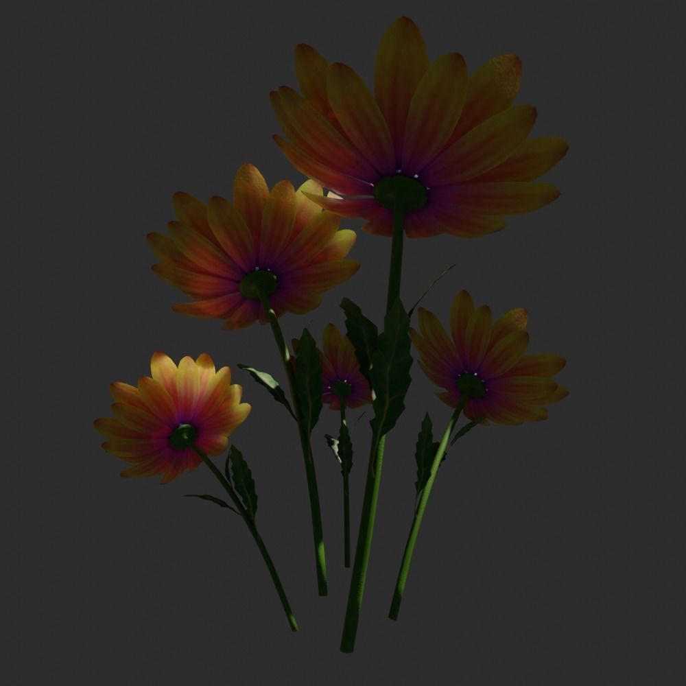 daisyflower daisies - daisies 3D model_3