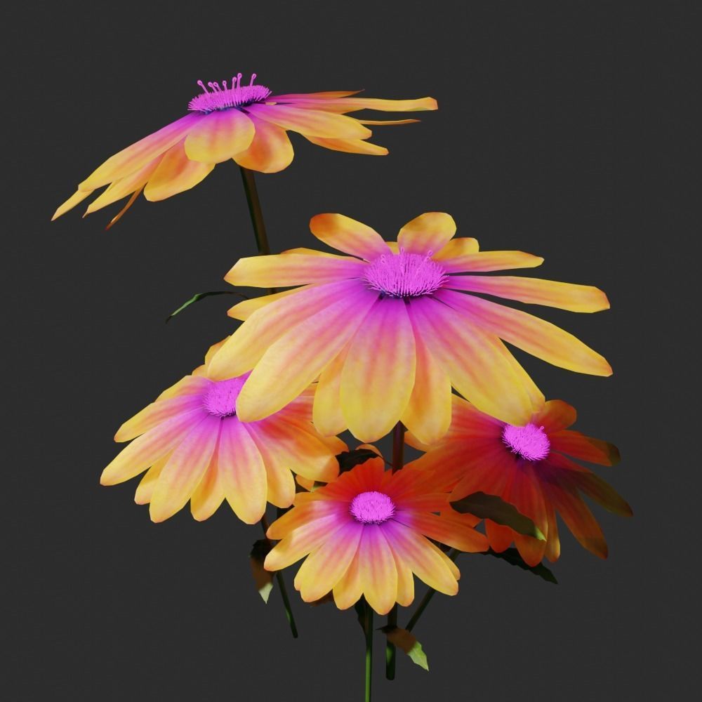 daisyflower daisies - daisies 3D model_2