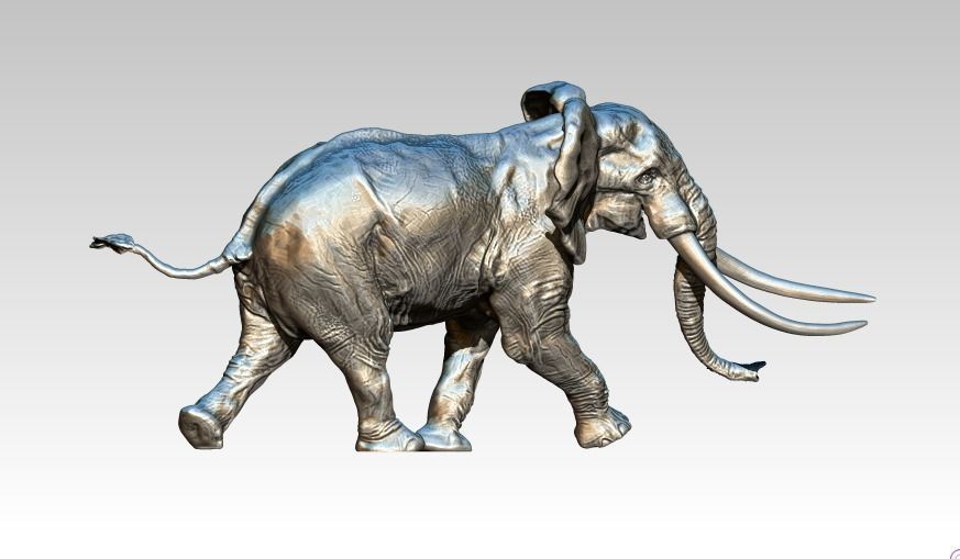 Elephant with long tusks 3D print model_2