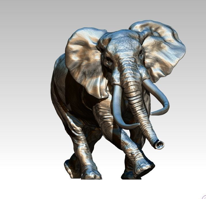 Elephant with long tusks 3D print model_1